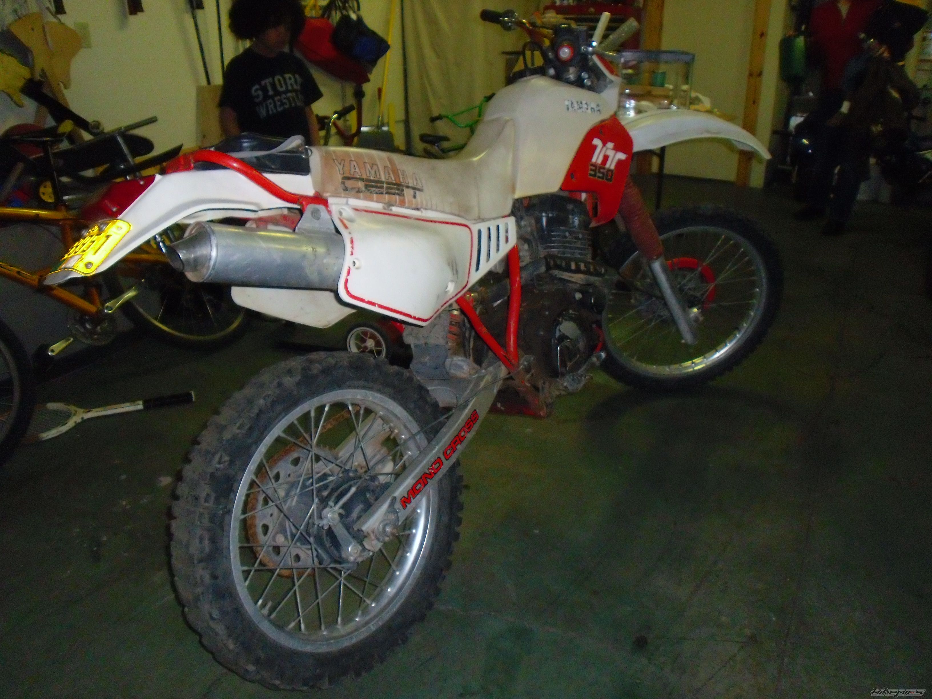 Photo 1772269