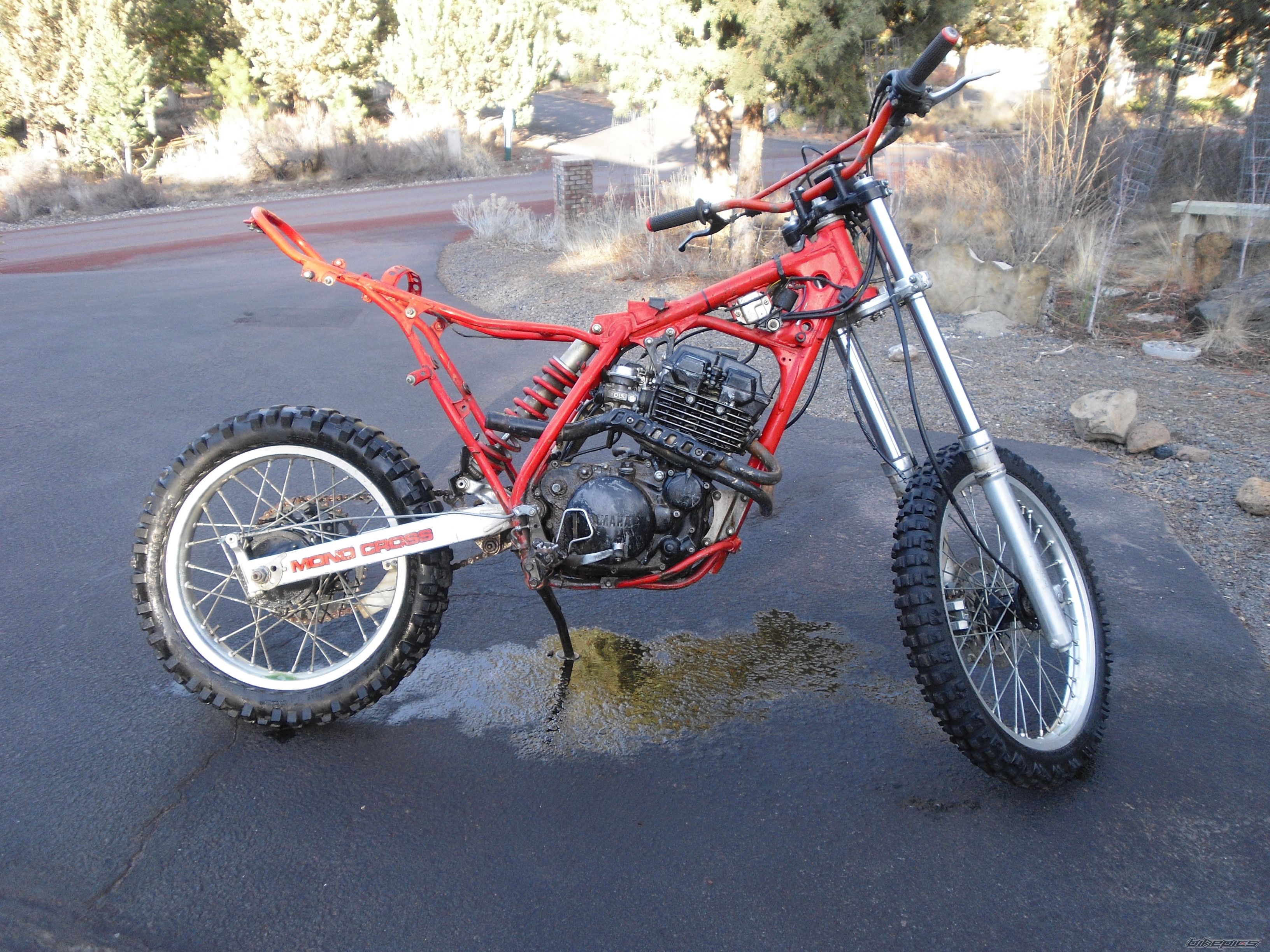 Photo 1772278