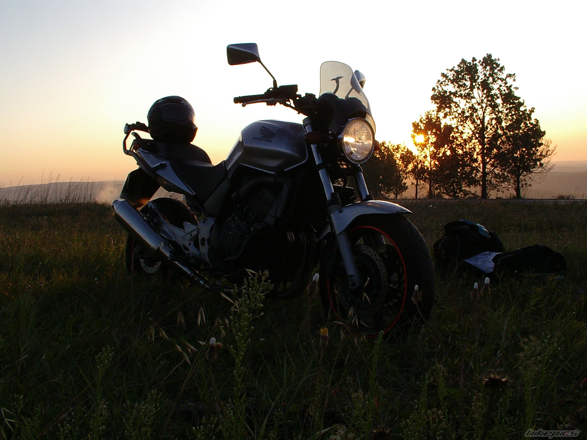 Photo 1772379