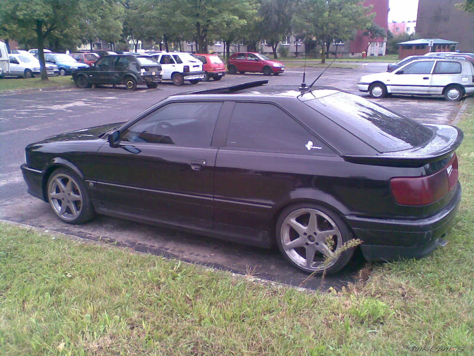 Photo 1772409
