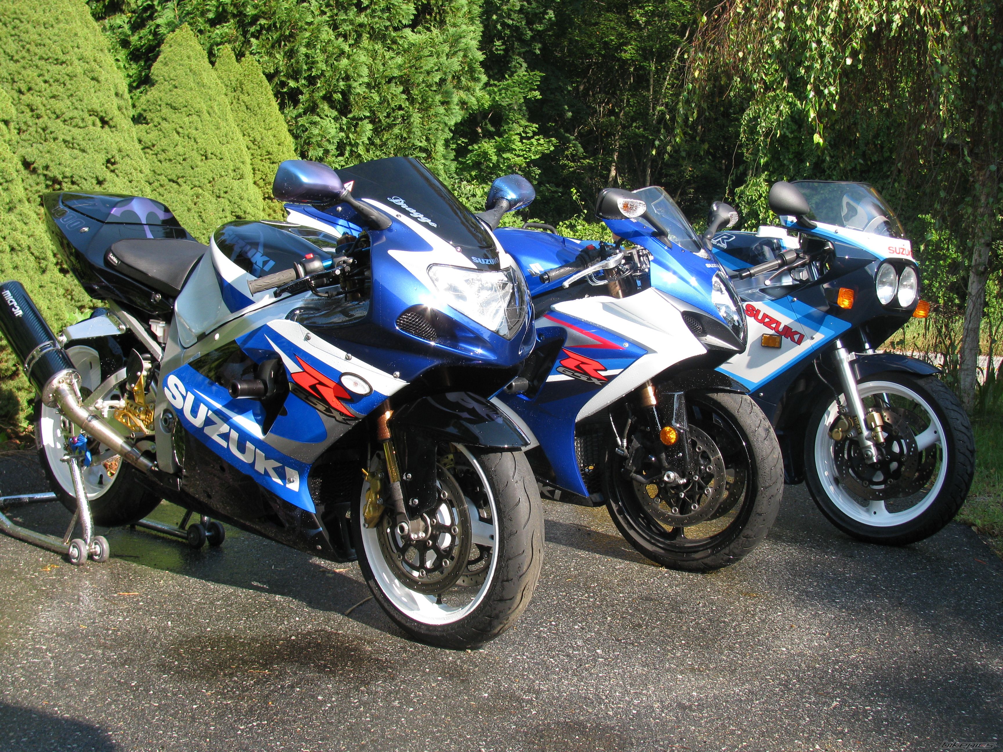 Photo 1772423