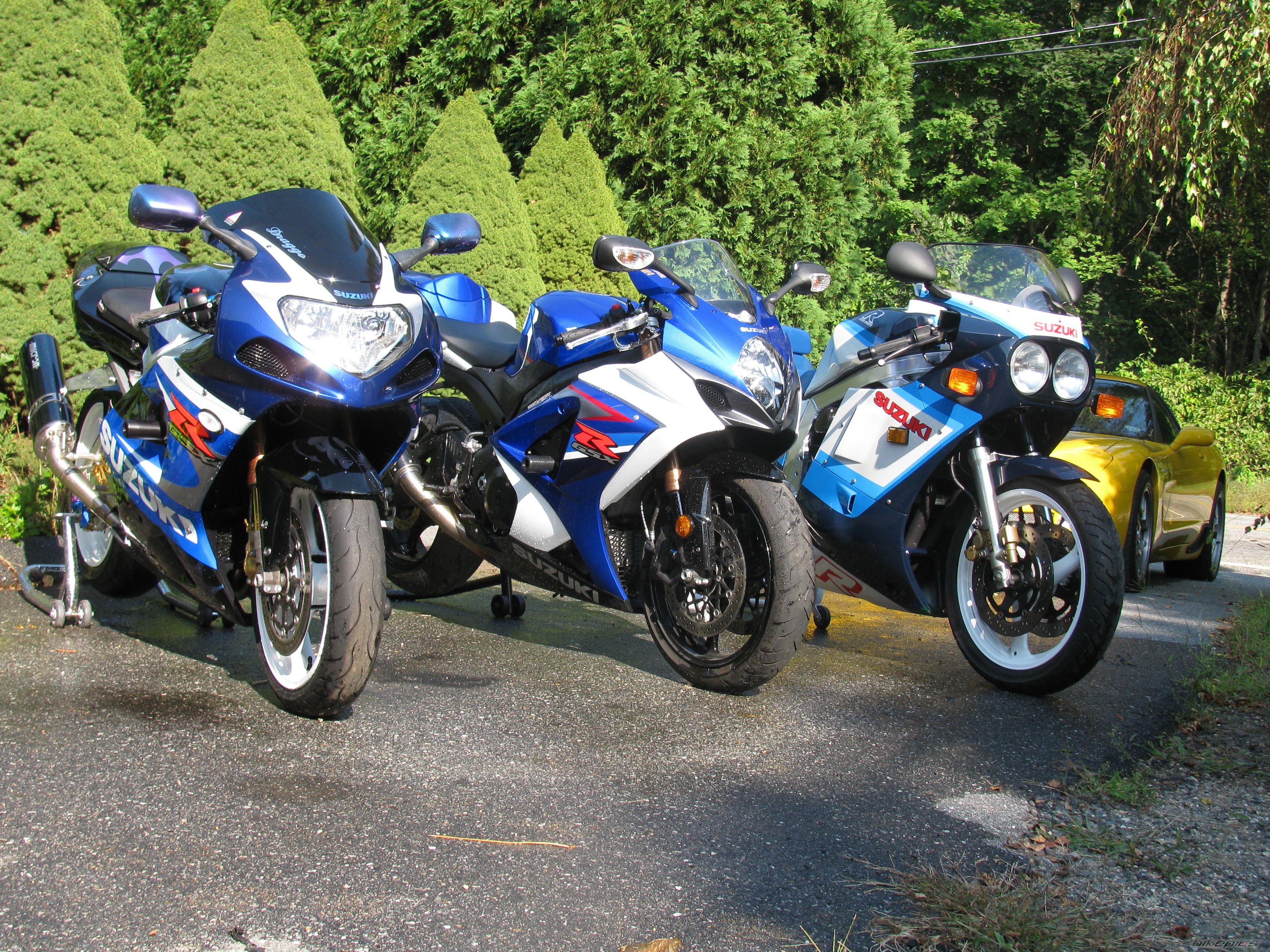 Photo 1772424