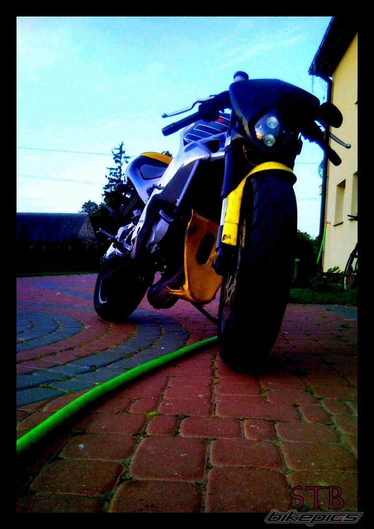 Photo 1772449