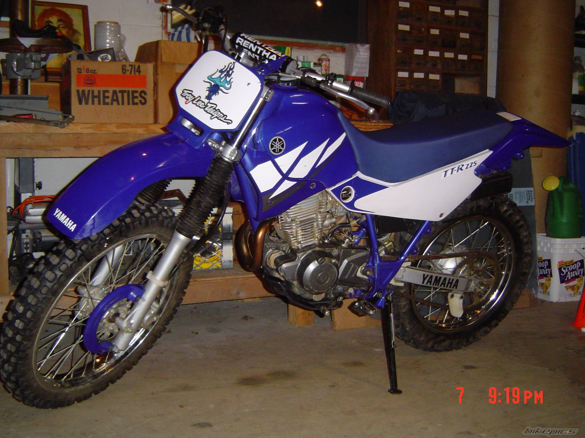 Photo 177245