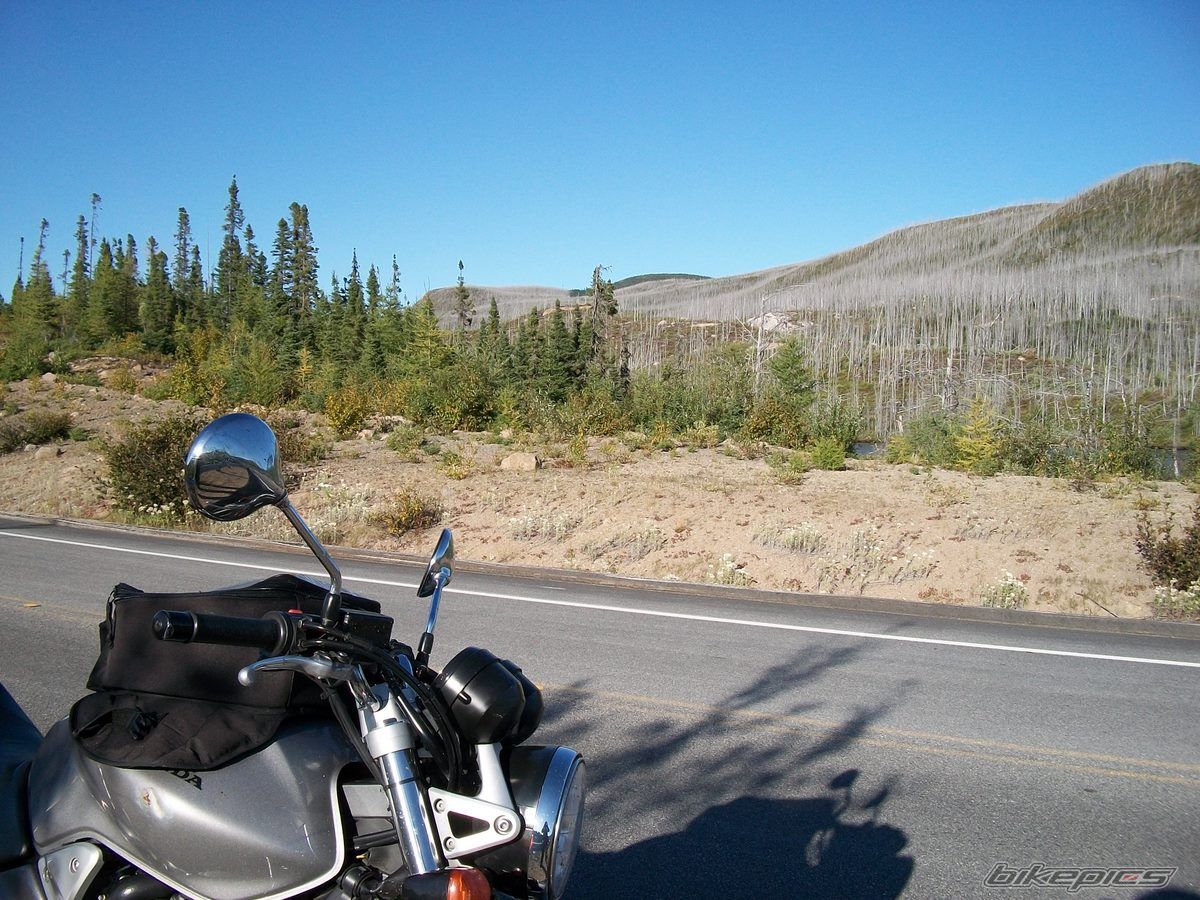 Photo 1772483