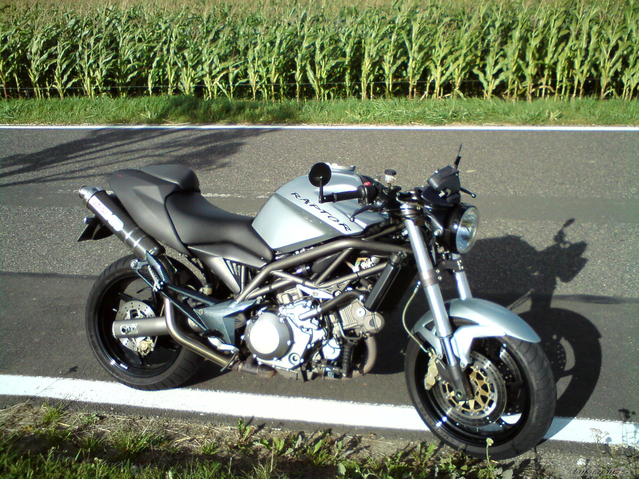 Photo 1772578