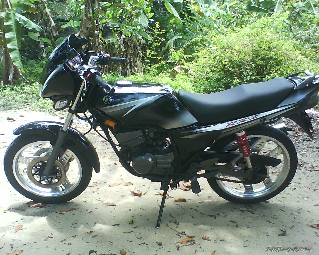 Photo 1772581