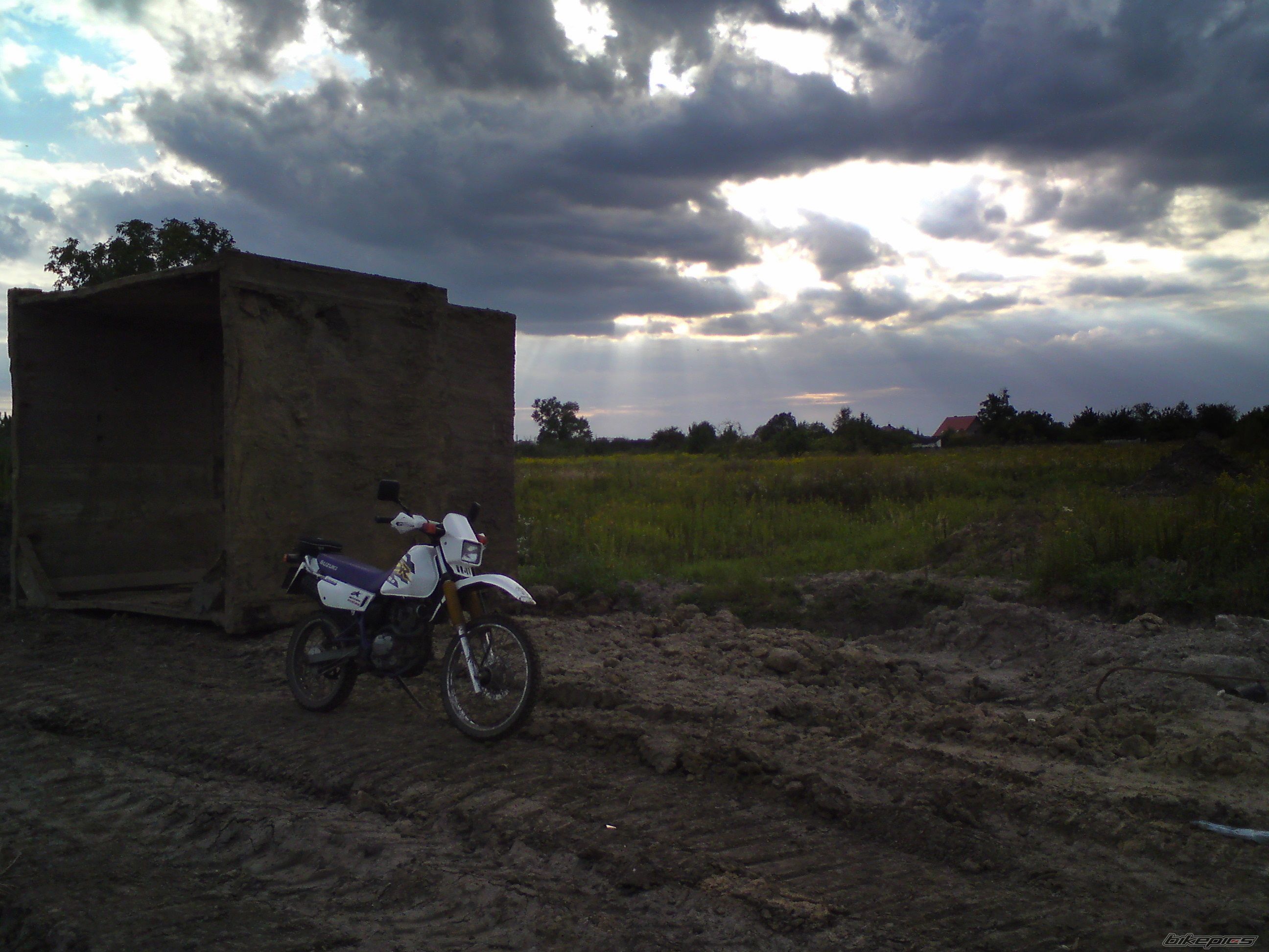 Photo 1772690
