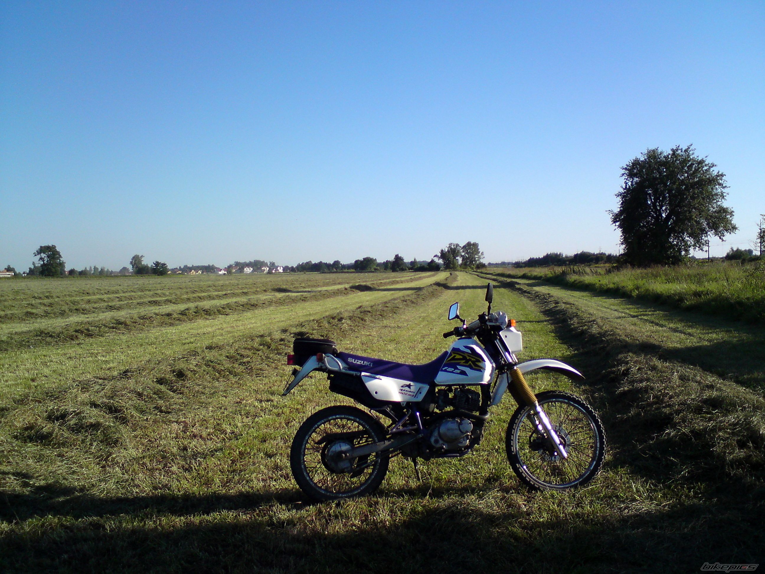Photo 1772712
