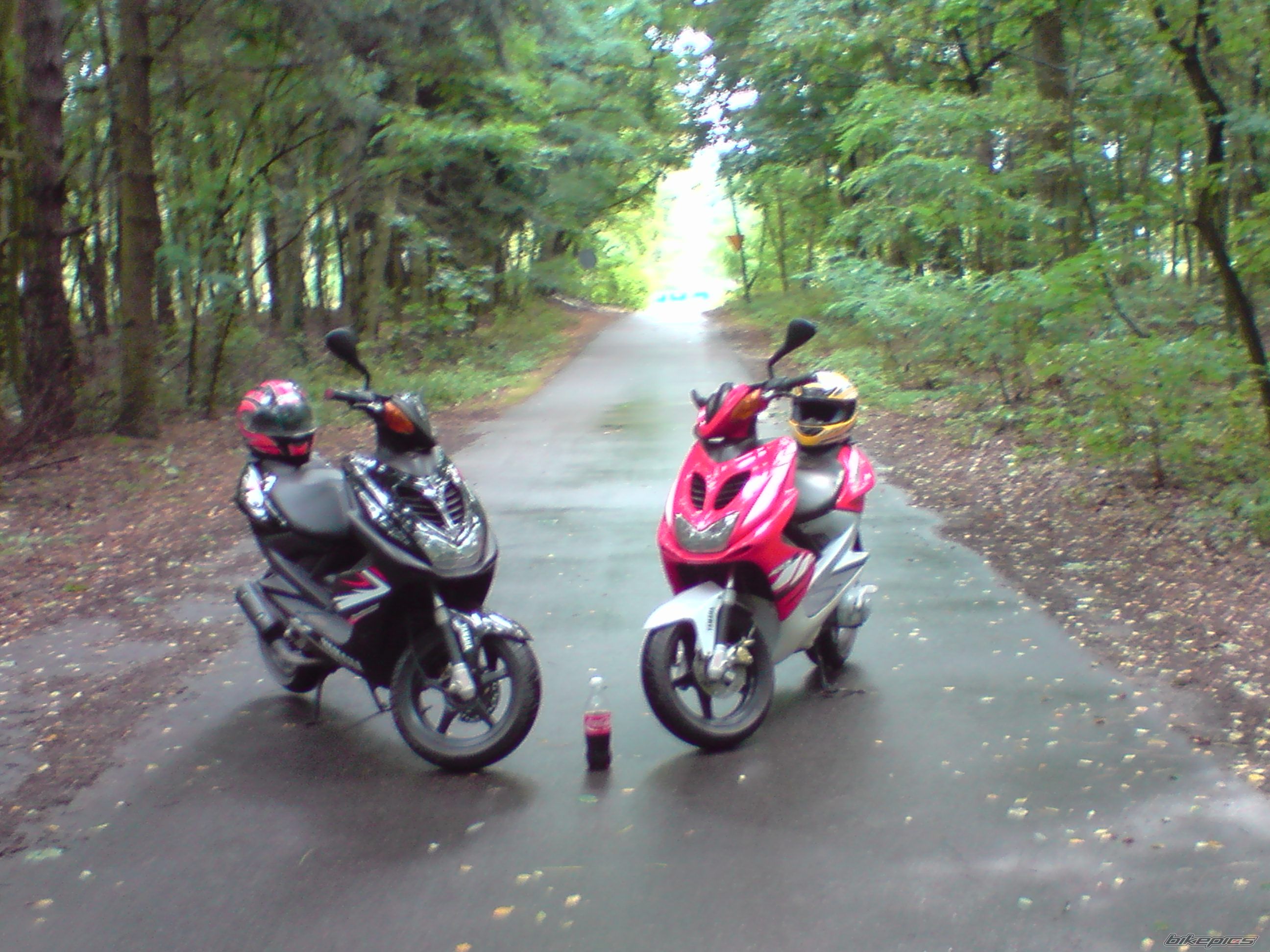 Photo 1772714