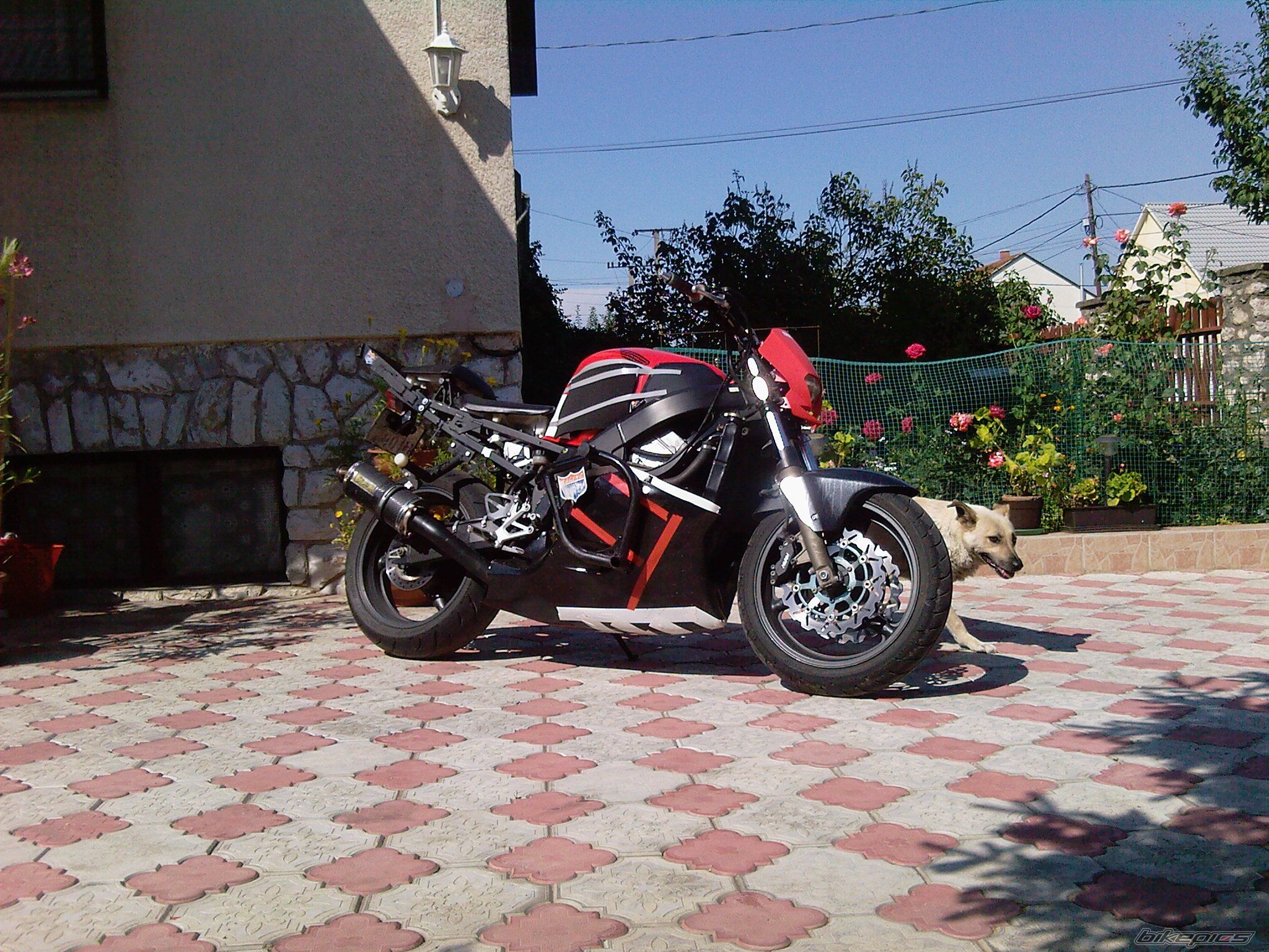 Bike Photo 1772728
