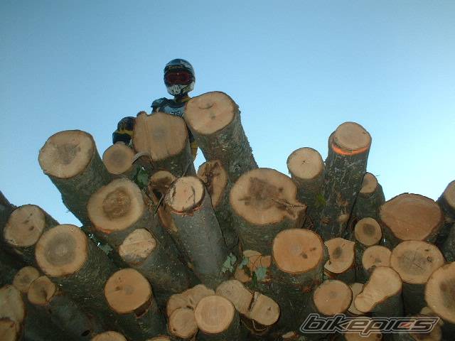 Bike Photo 177274