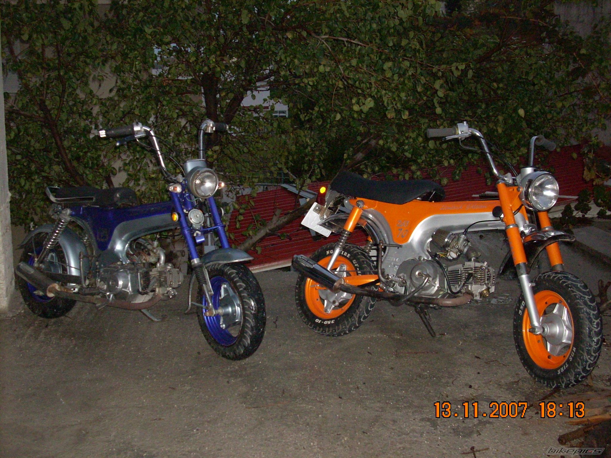 Photo 1772810