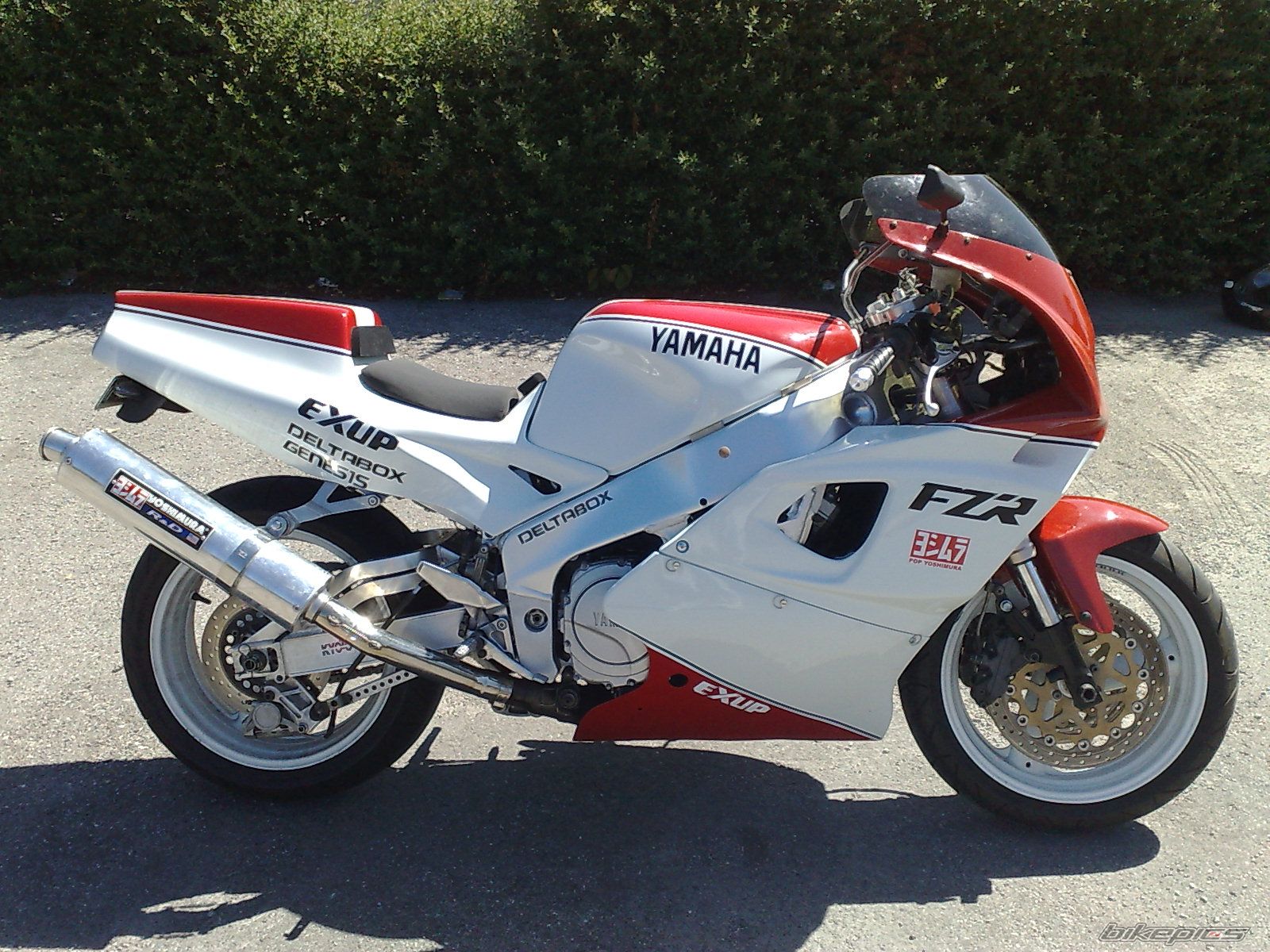 Photo 1772812
