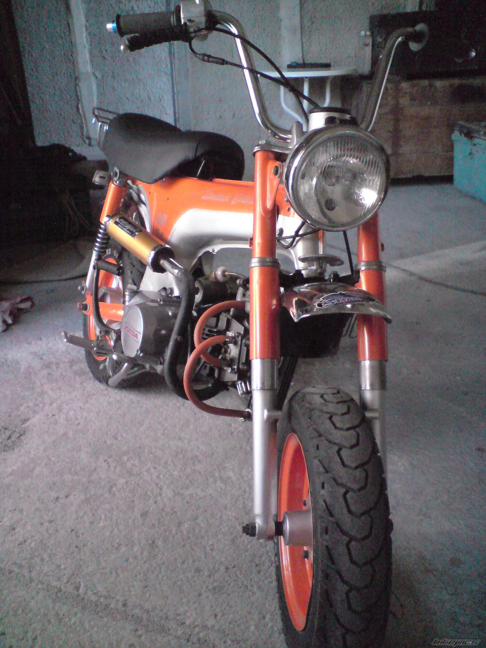 Photo 1772818