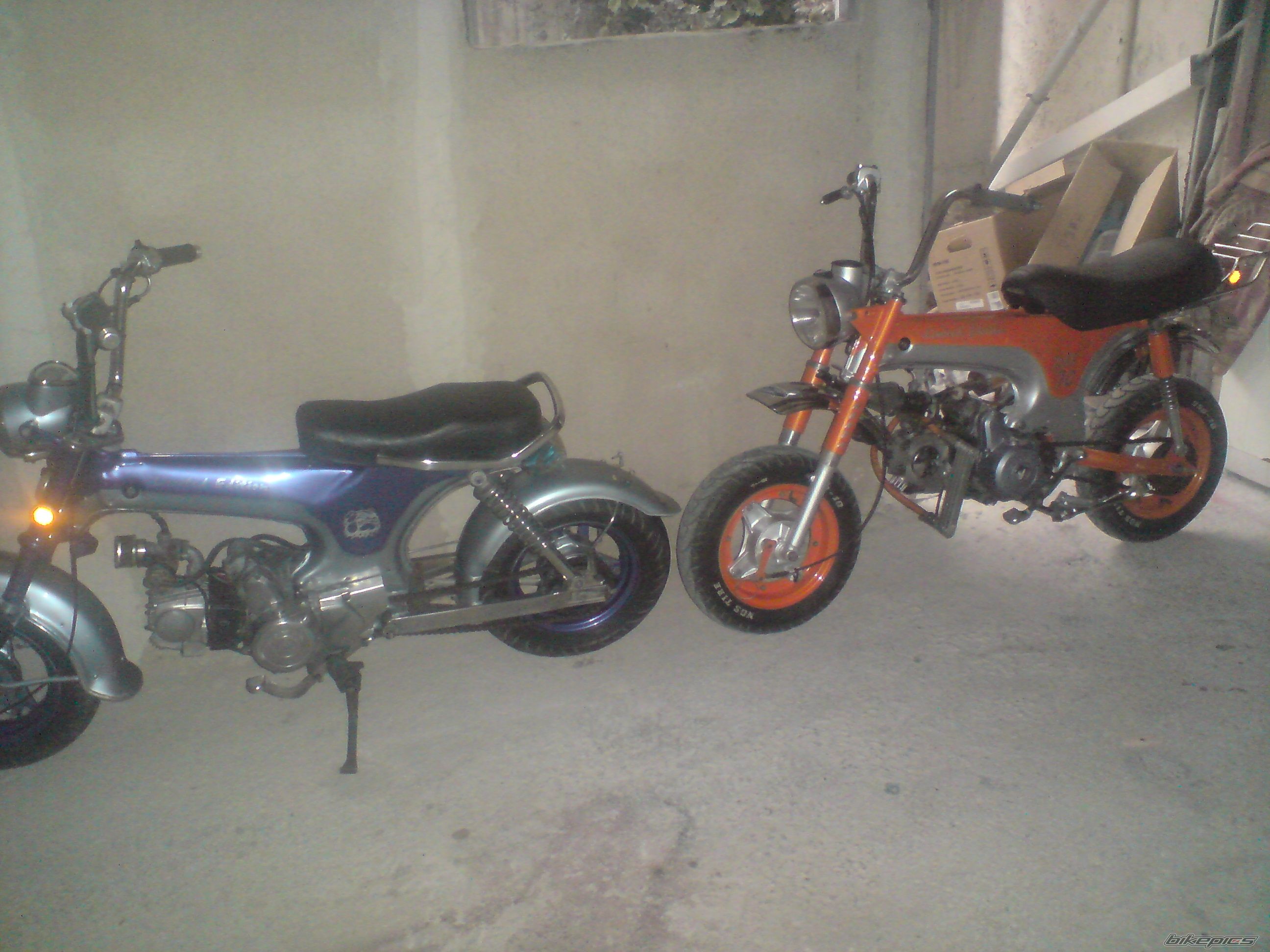 Photo 1772820