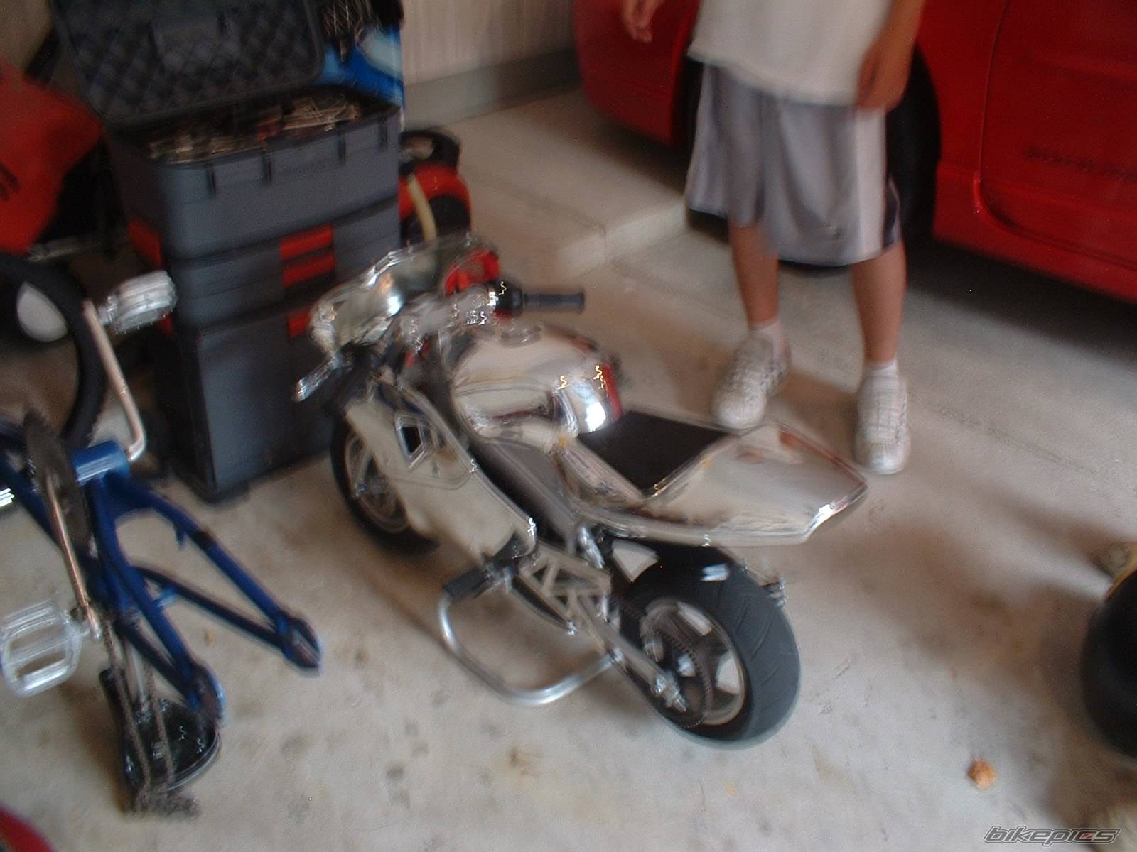 Photo 177286