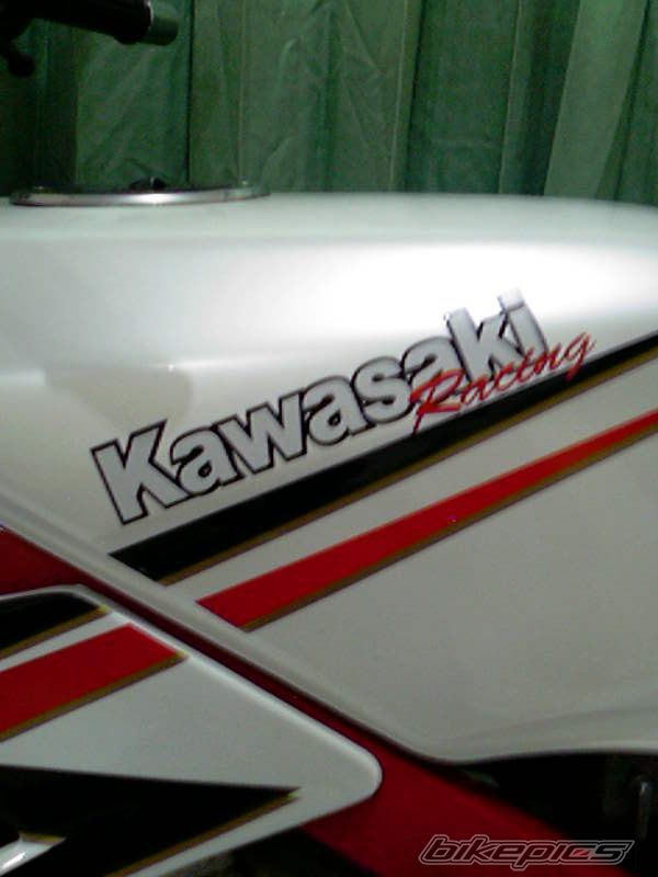 Photo 1772869