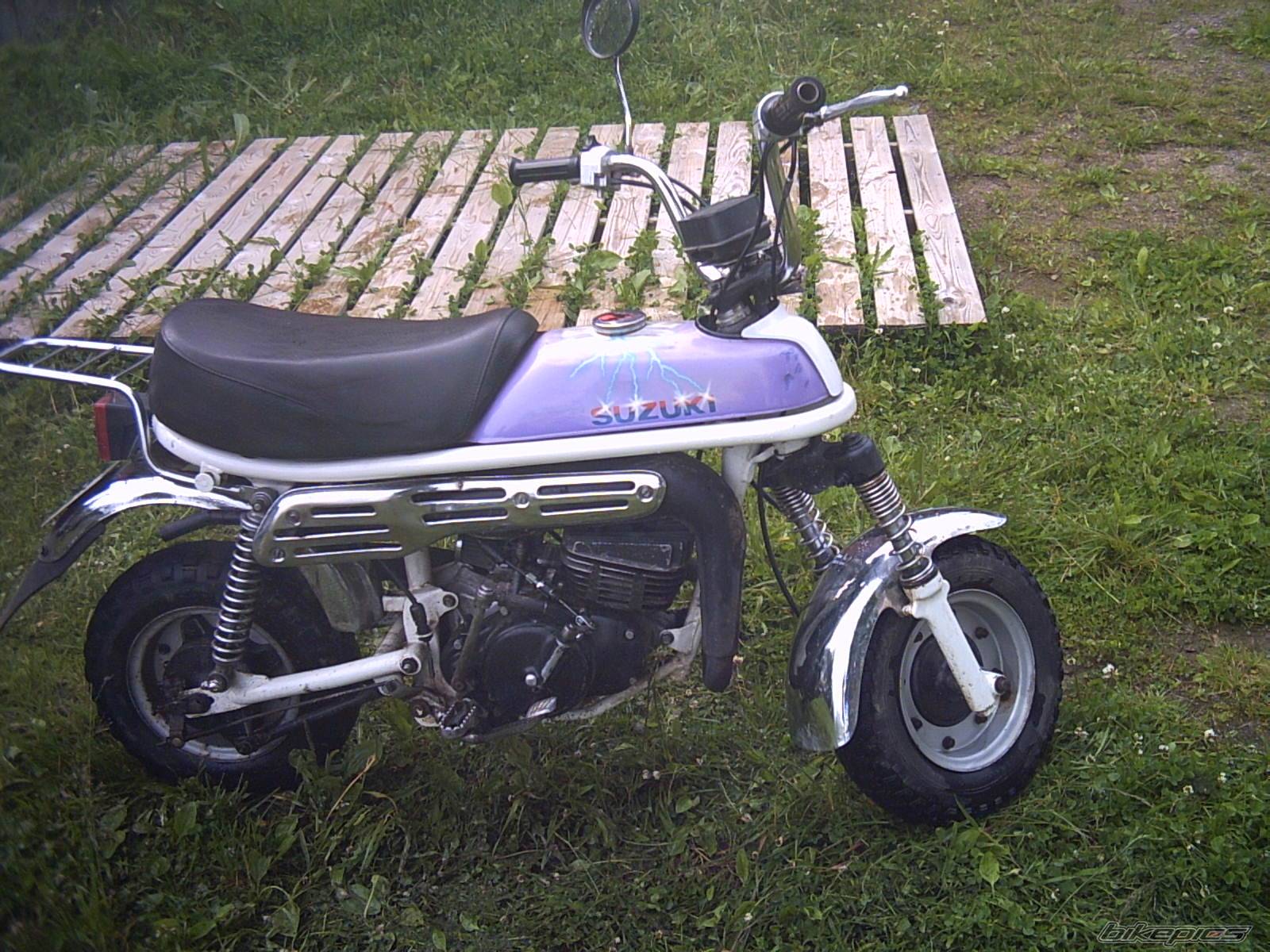 Photo 177294