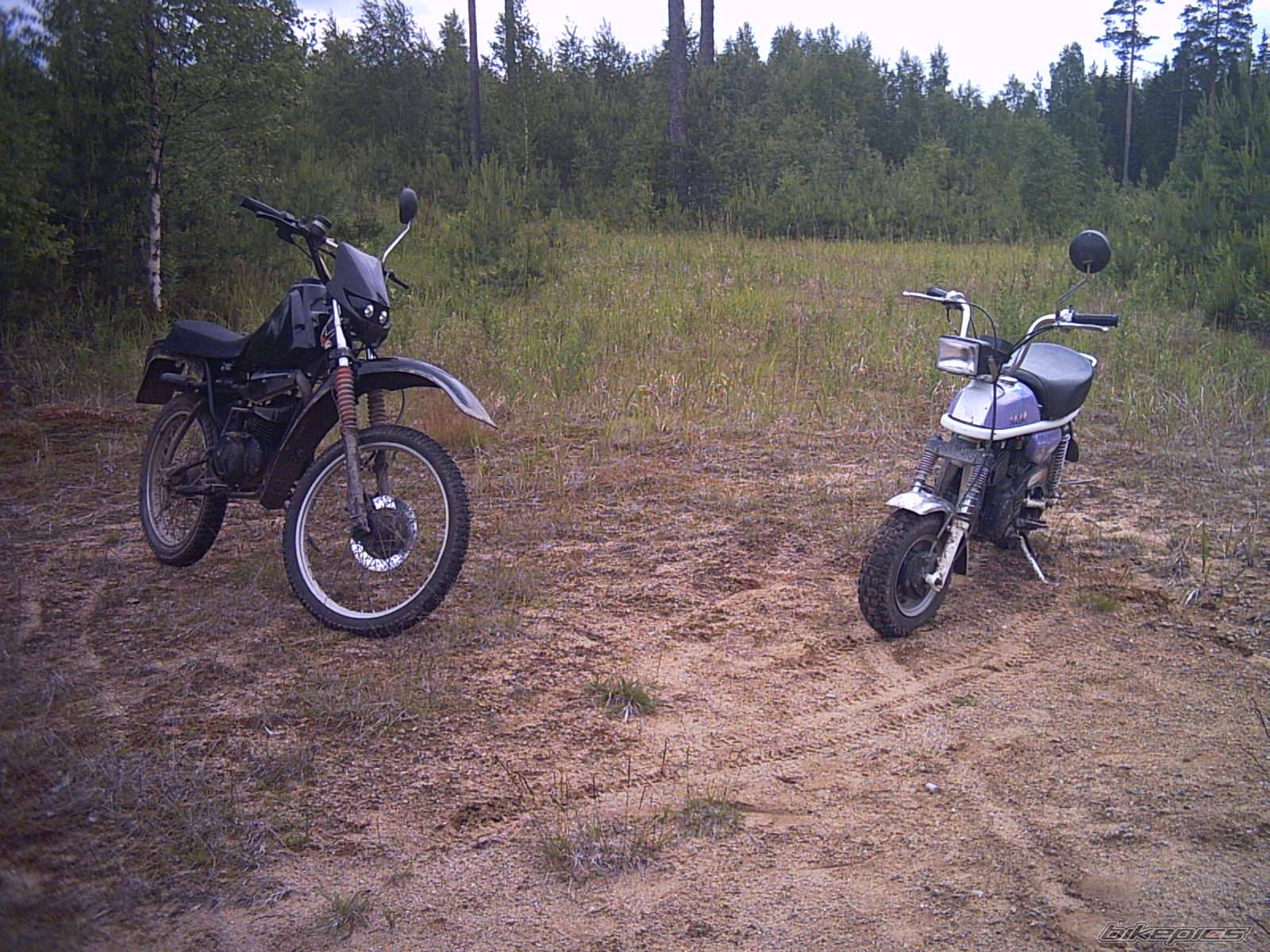 Photo 177296