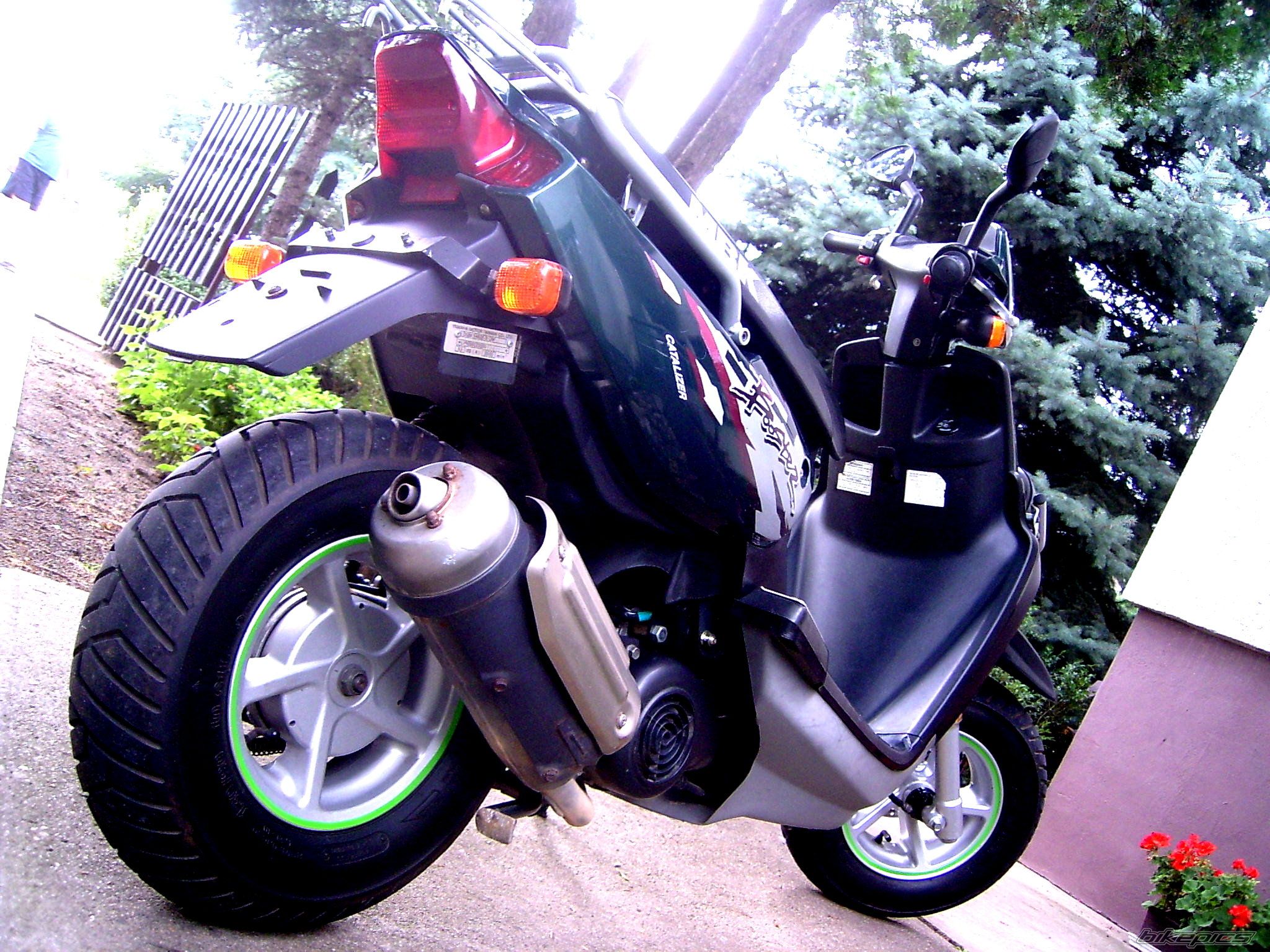 Photo 1772986
