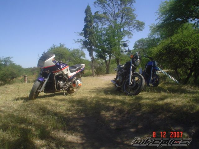 Photo 1773070