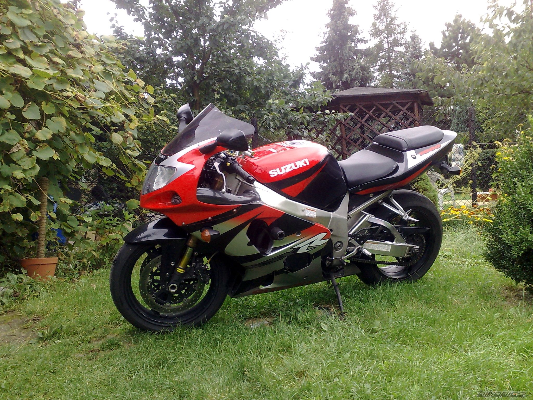 Photo 1773079