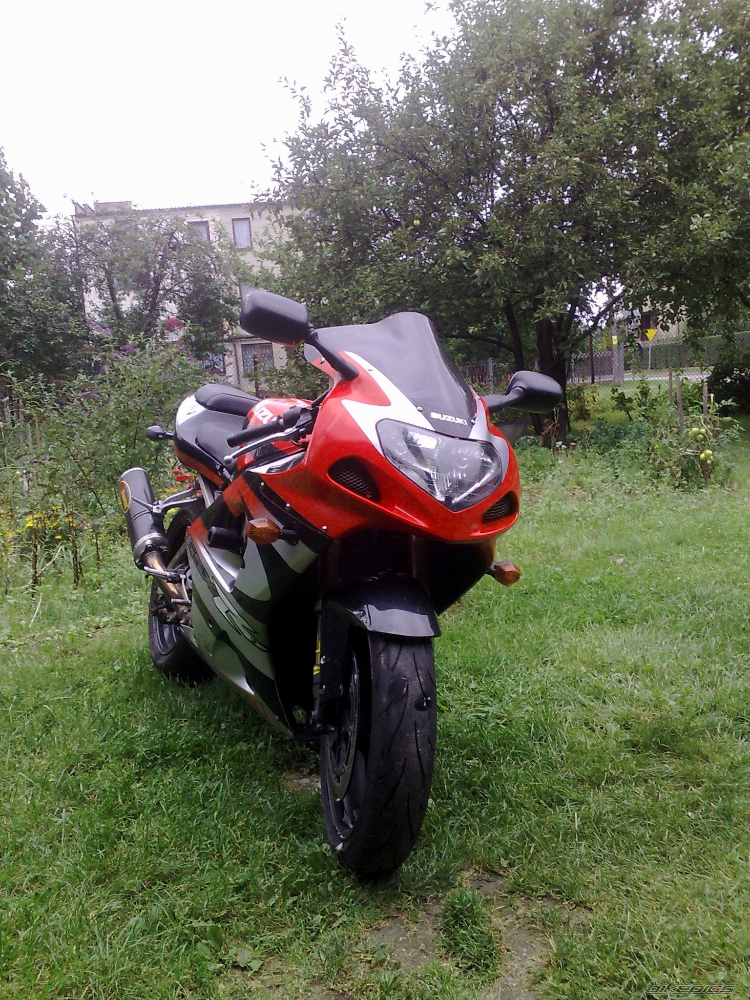 Photo 1773080