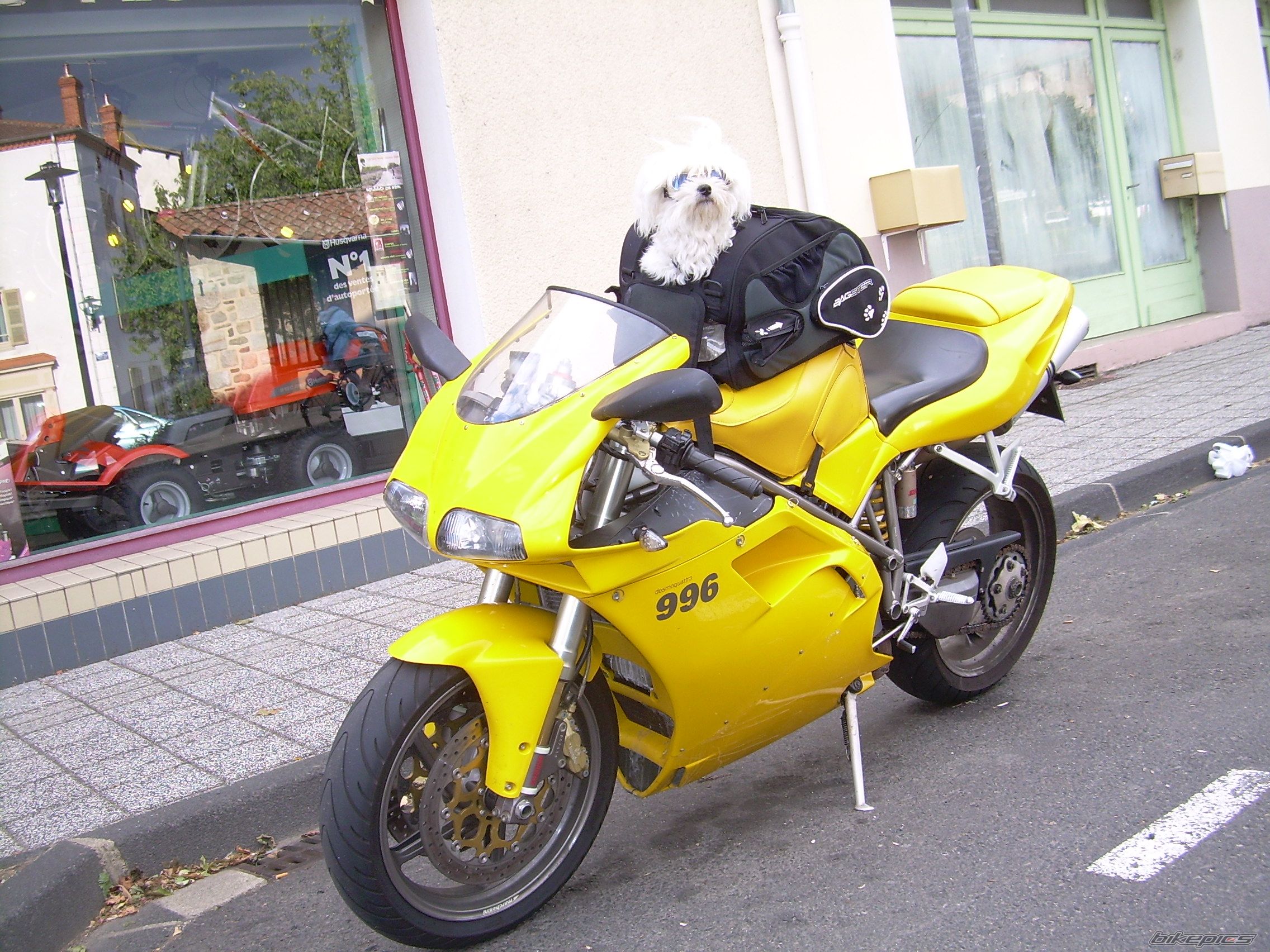 Photo 1773153