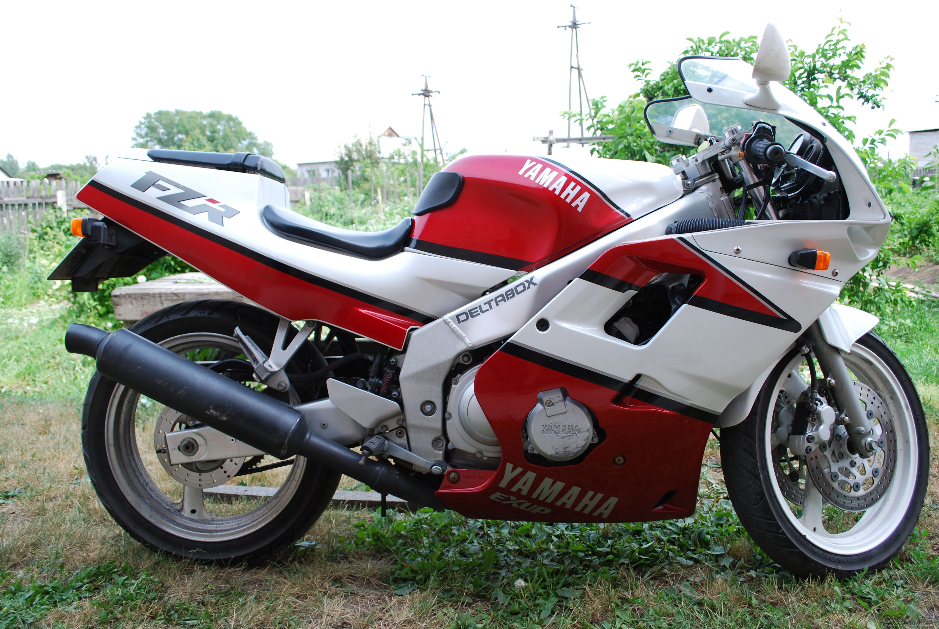 Photo 1773180