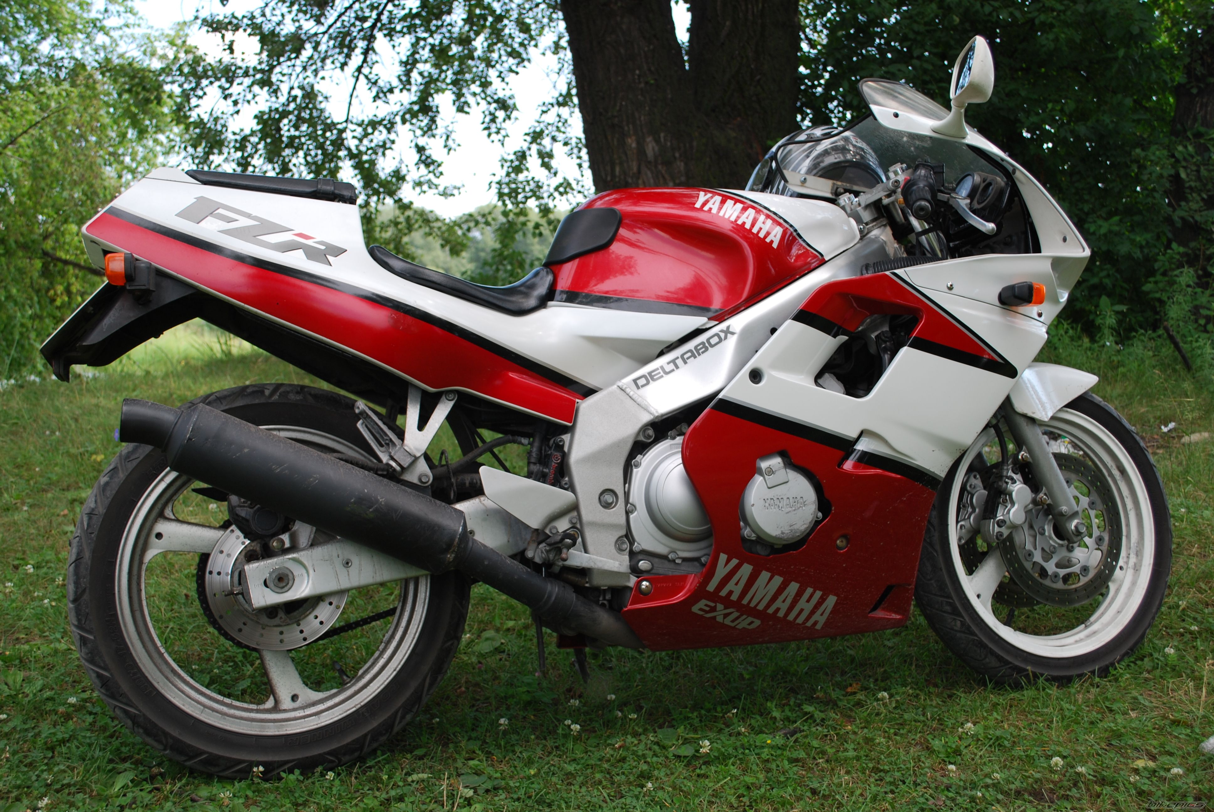 Photo 1773181