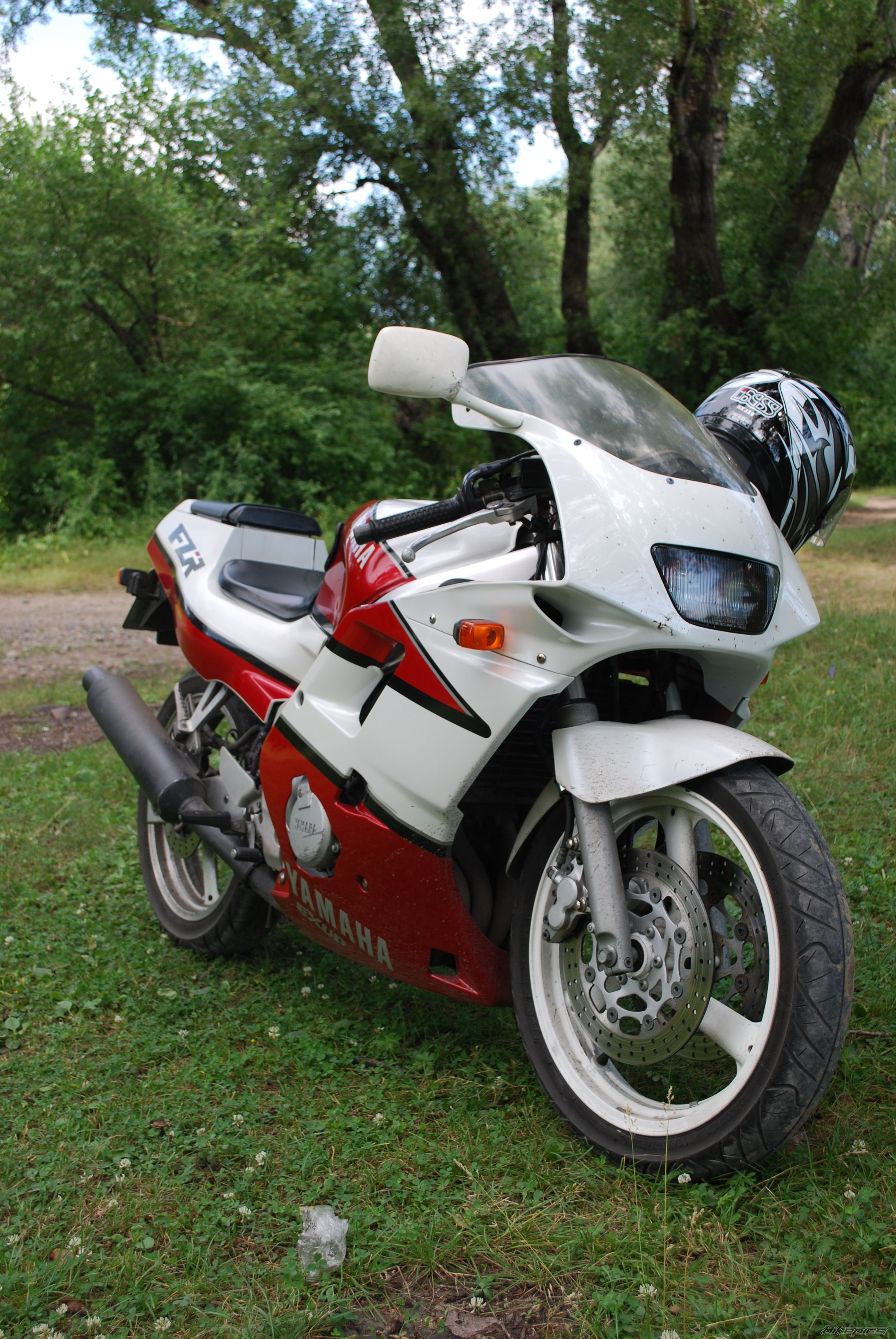 Photo 1773196