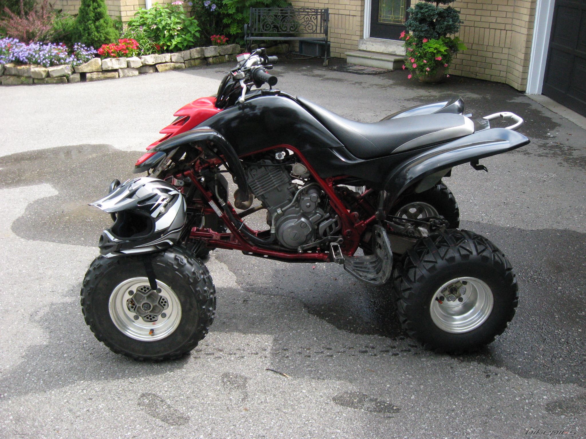Photo 1773220