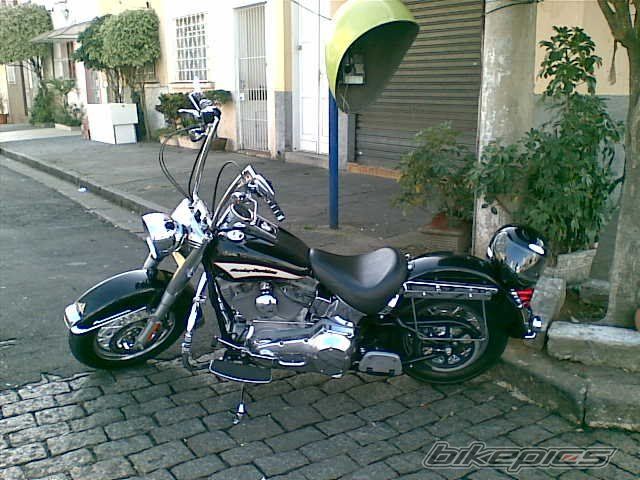 Photo 1773233