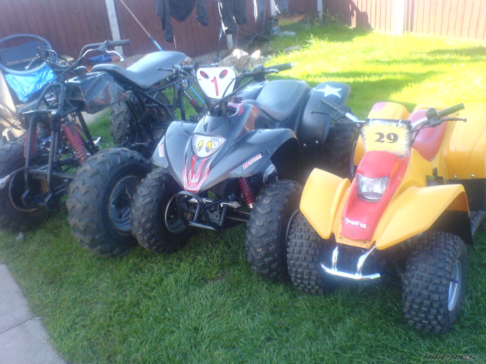 Photo 1773235
