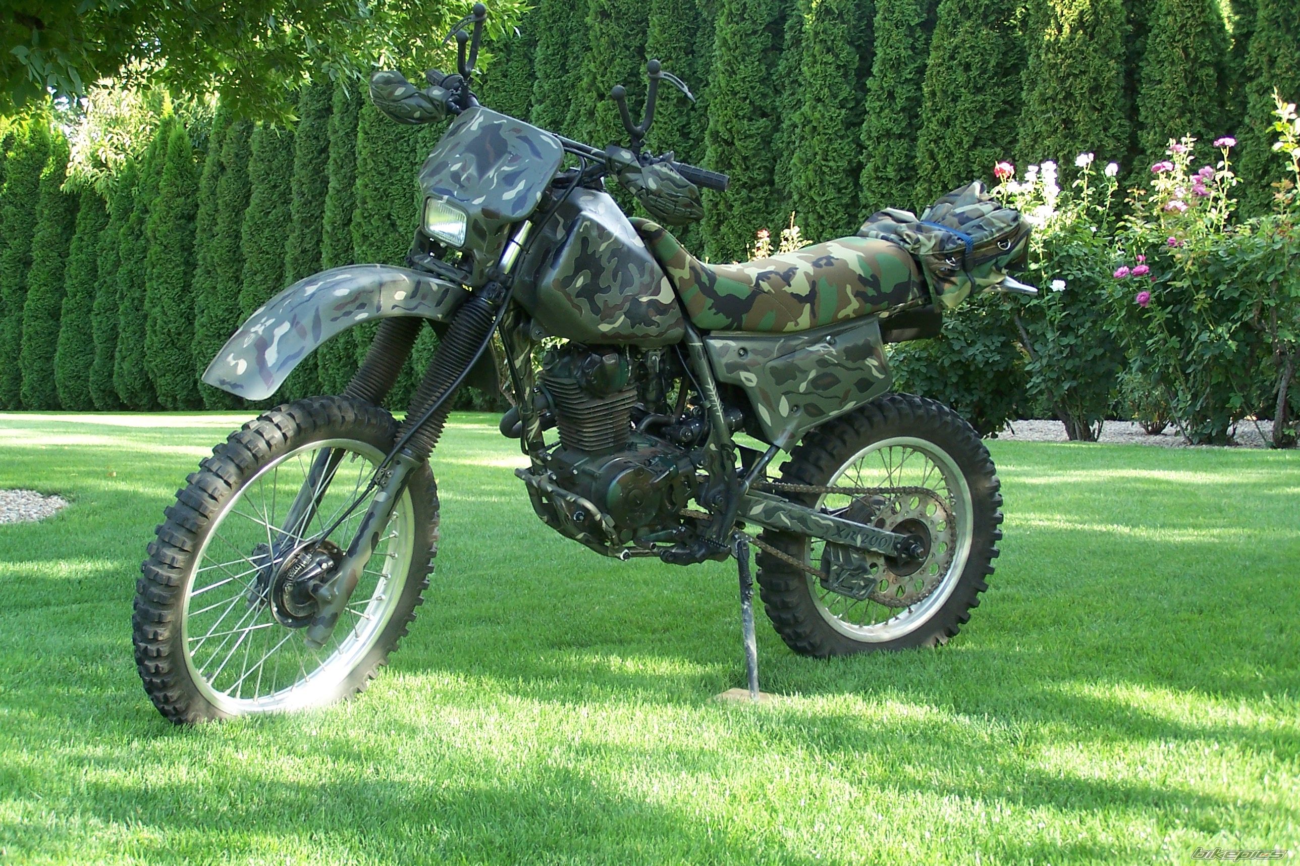 Bike Photo 1773246