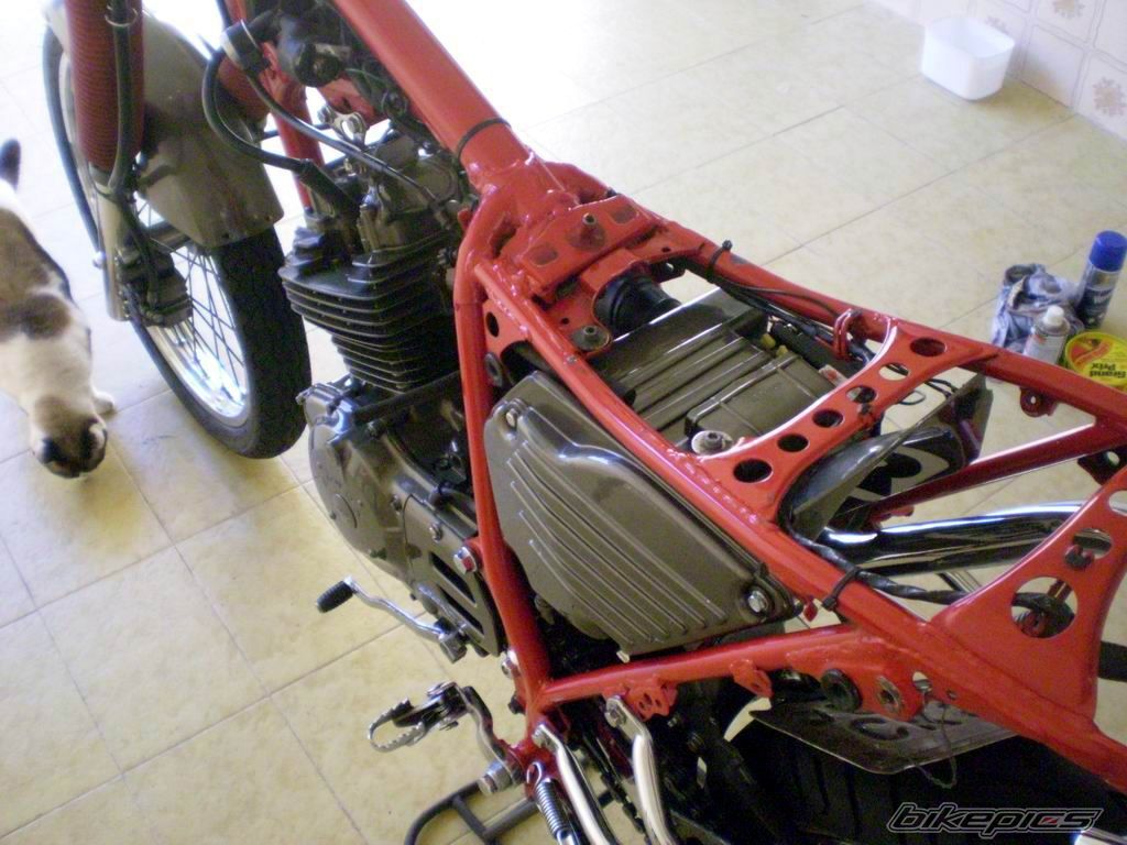 Photo 1773267