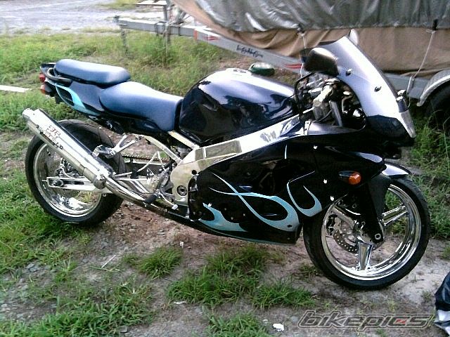 Photo 1773313