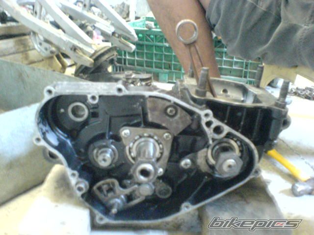 Bike Photo 1773325