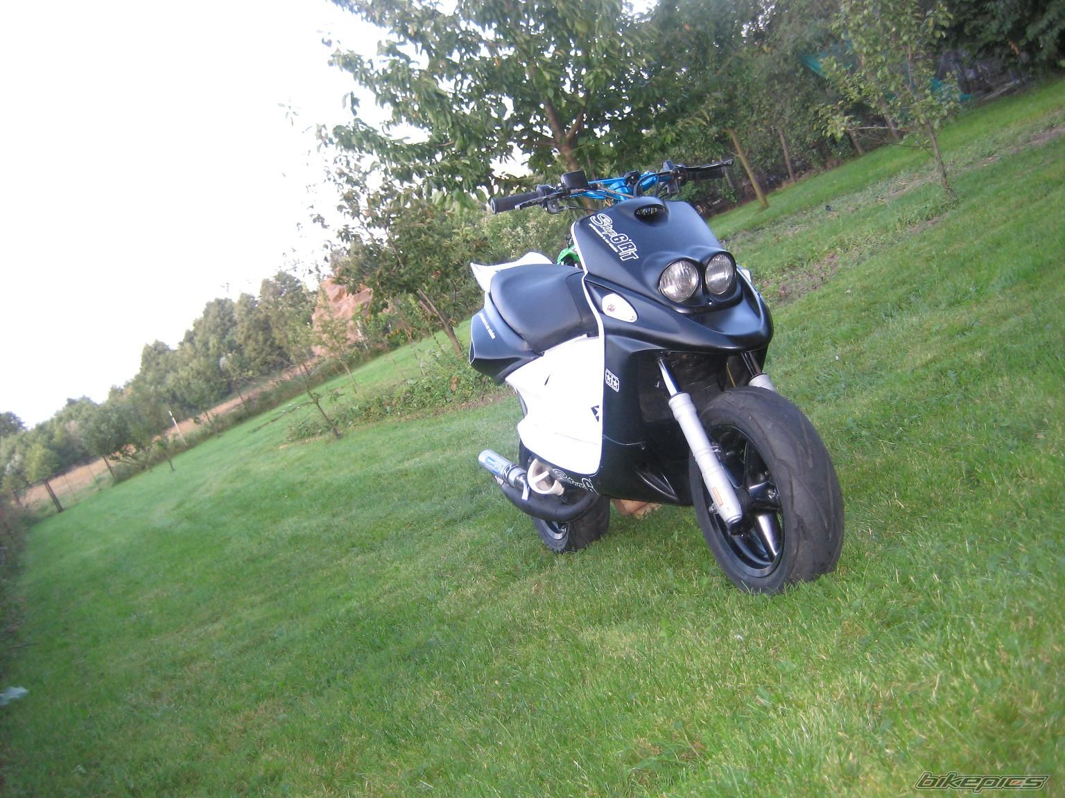 Photo 1773398