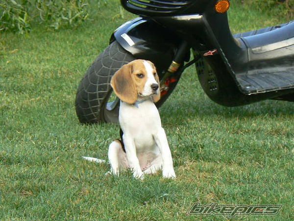 Photo 1773411