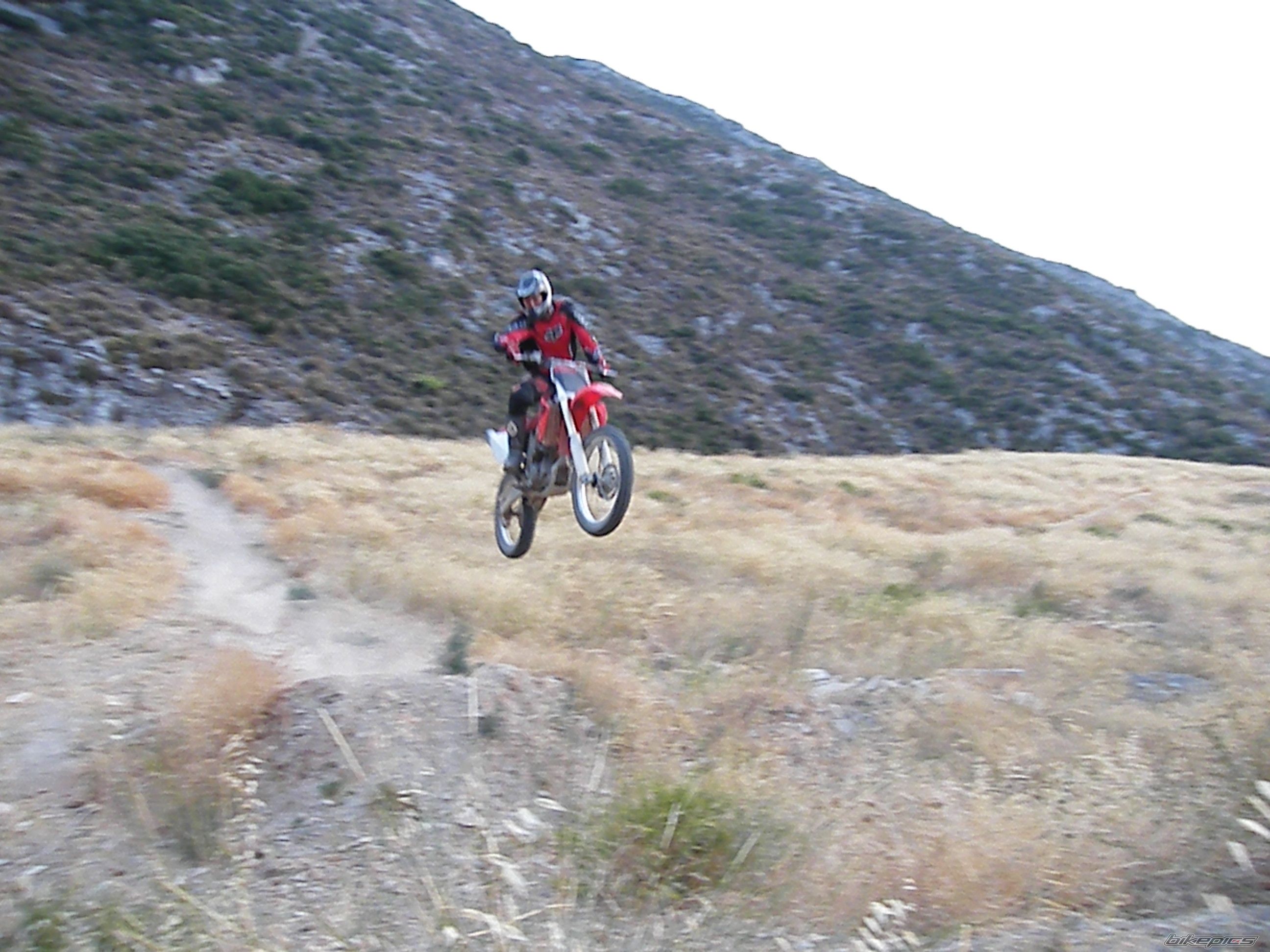 Photo 1773412
