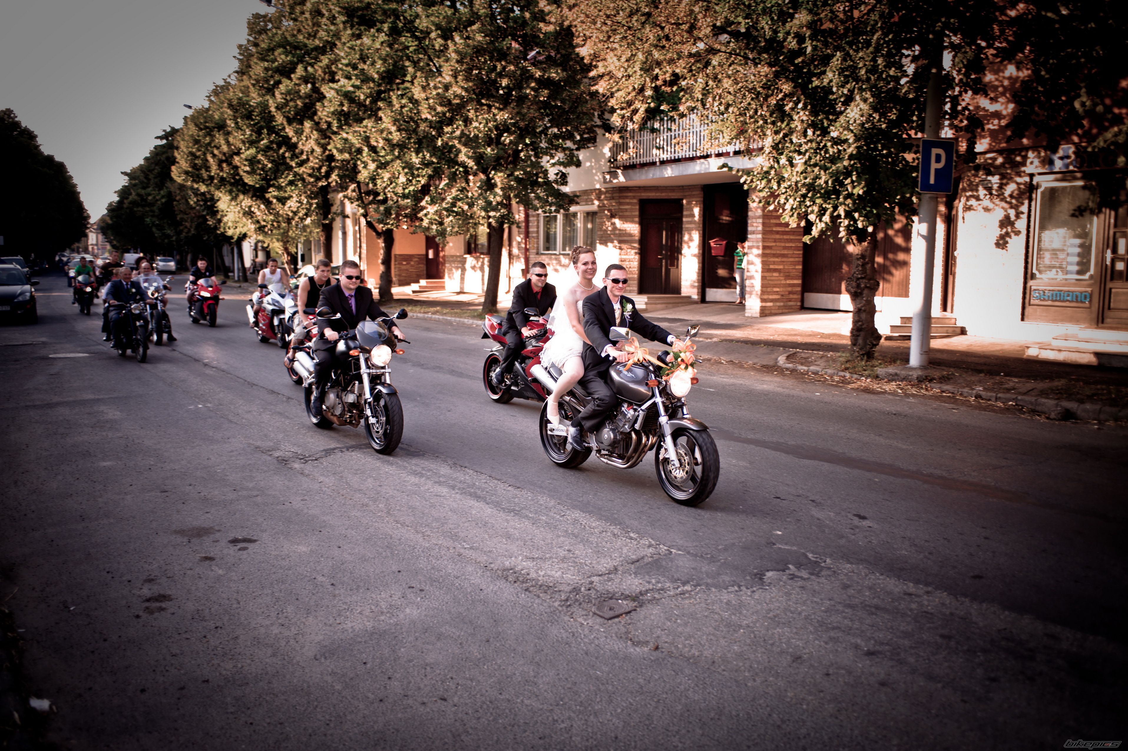 Photo 1773431
