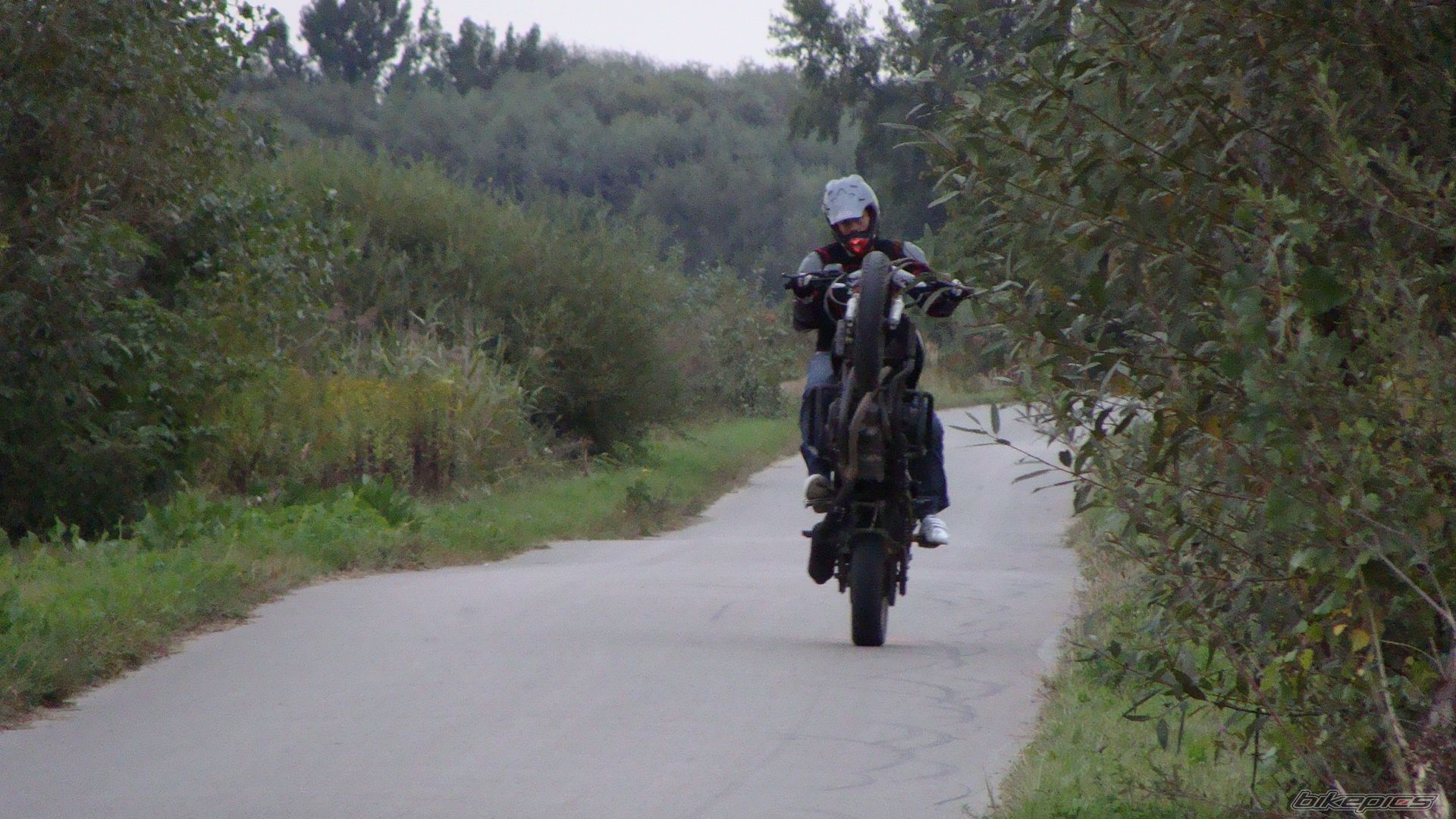 Photo 1773482