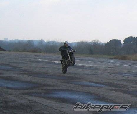 Photo 177349