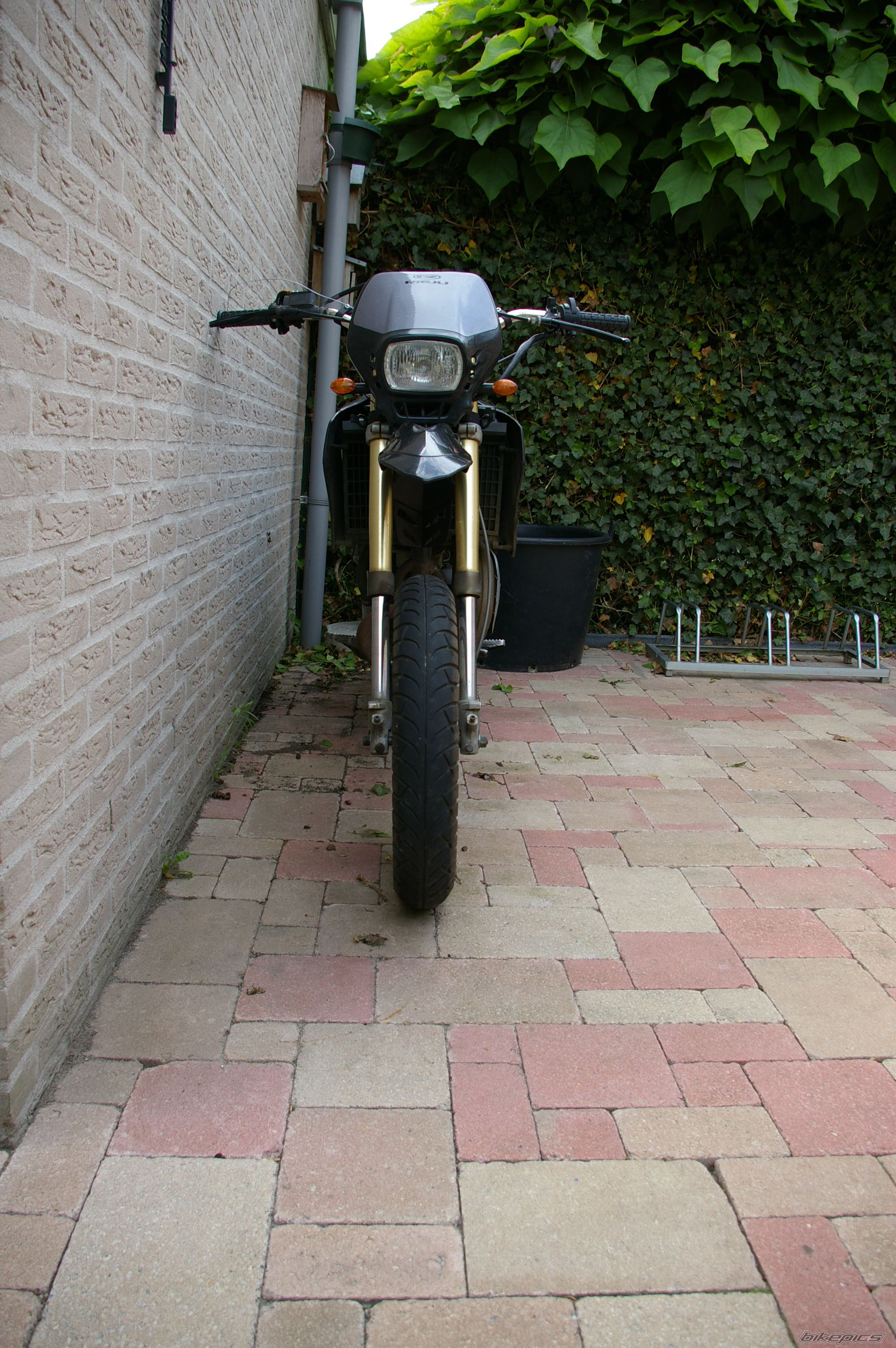 Photo 1773513