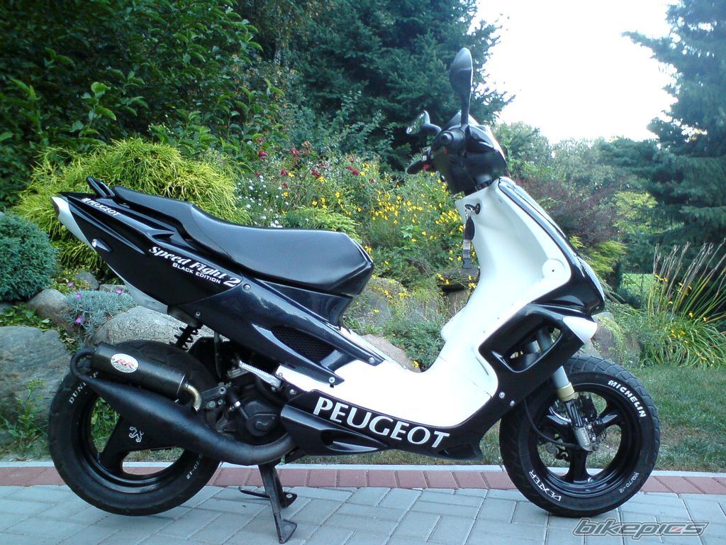 Photo 1773577