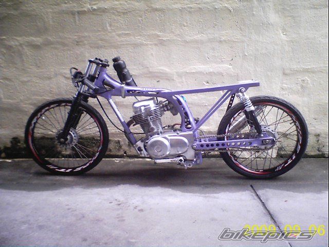 Photo 1773581