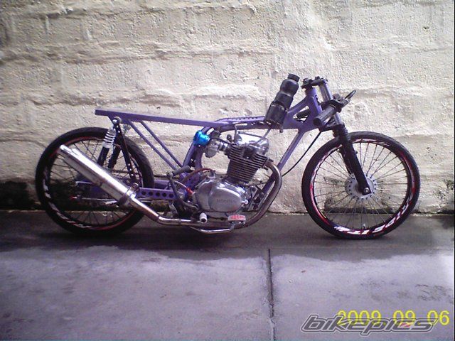 Photo 1773582