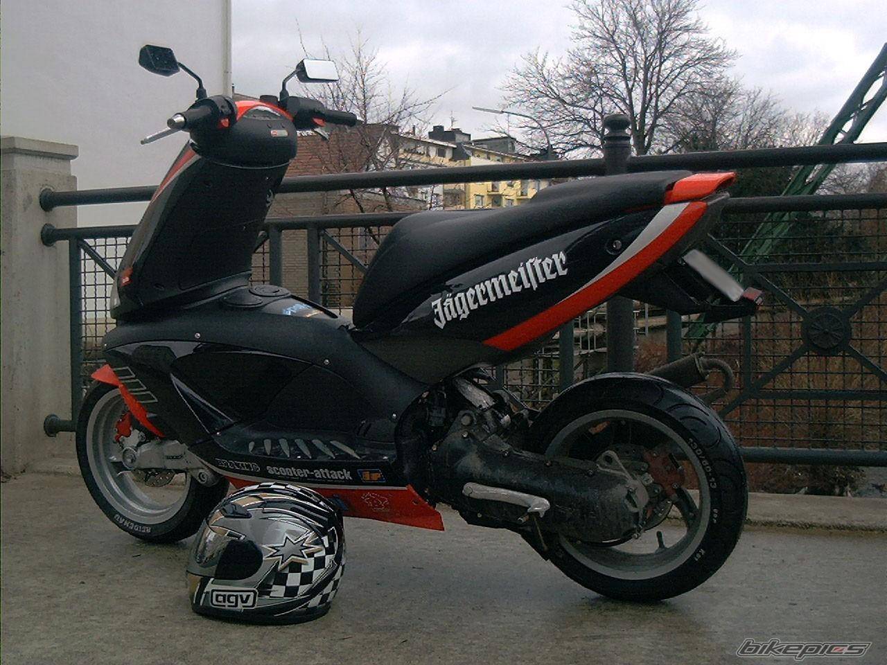 Photo 17736